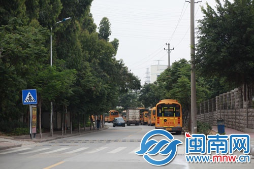 崇文街两边的台湾栾树