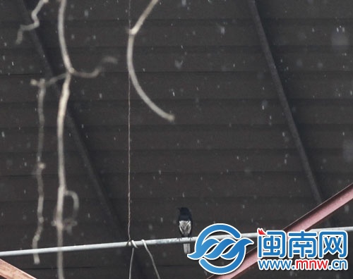 雨下几天几夜不停是什么原理_幸福是什么图片(2)