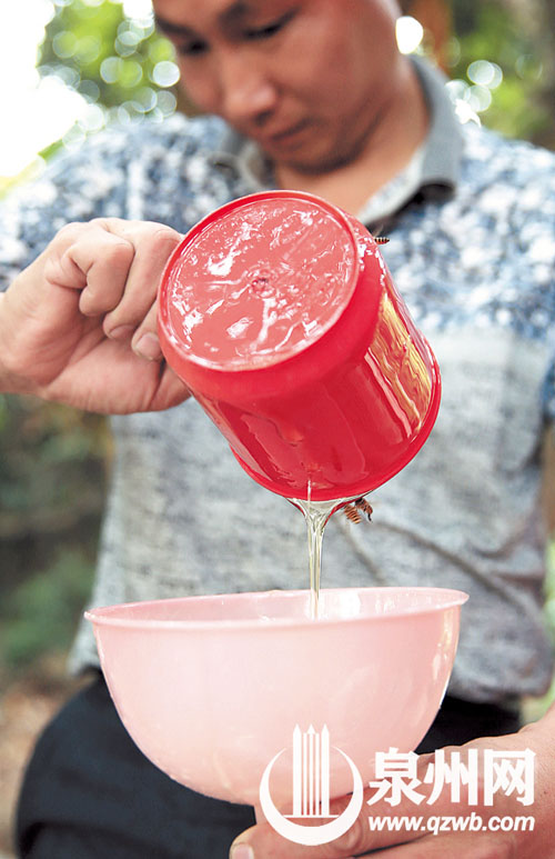 现摇现卖的新鲜蜂蜜，蜜蜂还在边上恋恋不舍地追随。