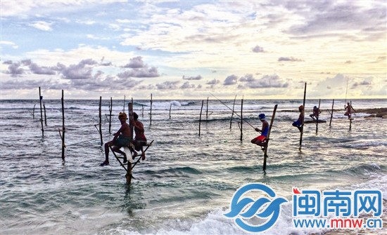 斯里兰卡传统高跷垂钓