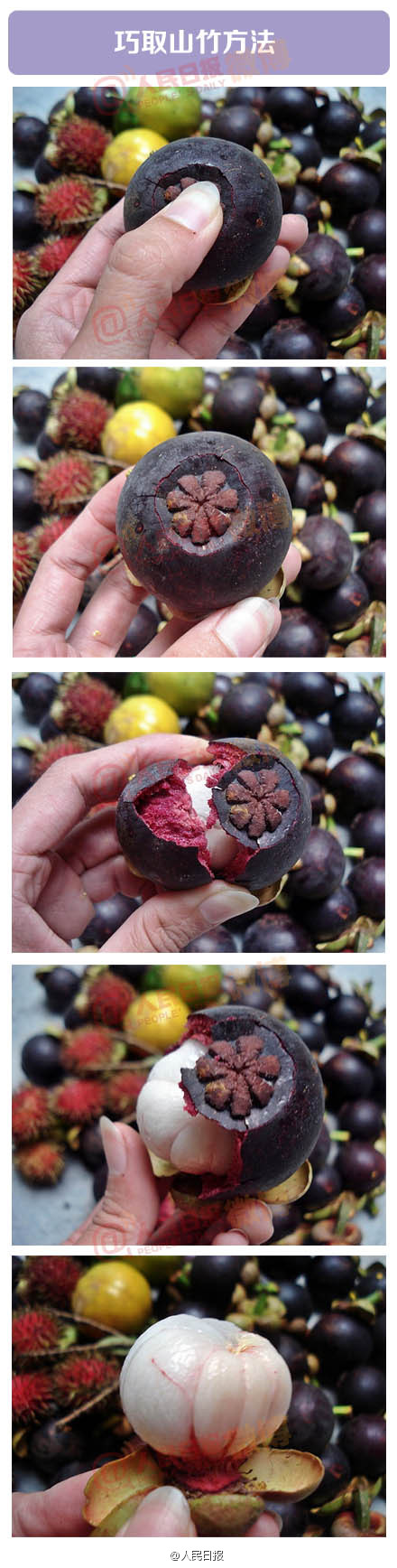 巧取山竹方法