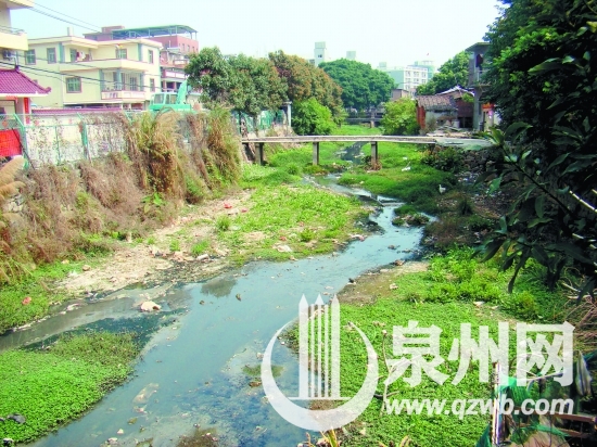 泉州小流域“赛水质”将交卷 超八成小流域水体水质