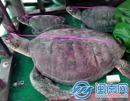 菲抓扣11名中国渔民今日受审讯 可判刑期最长