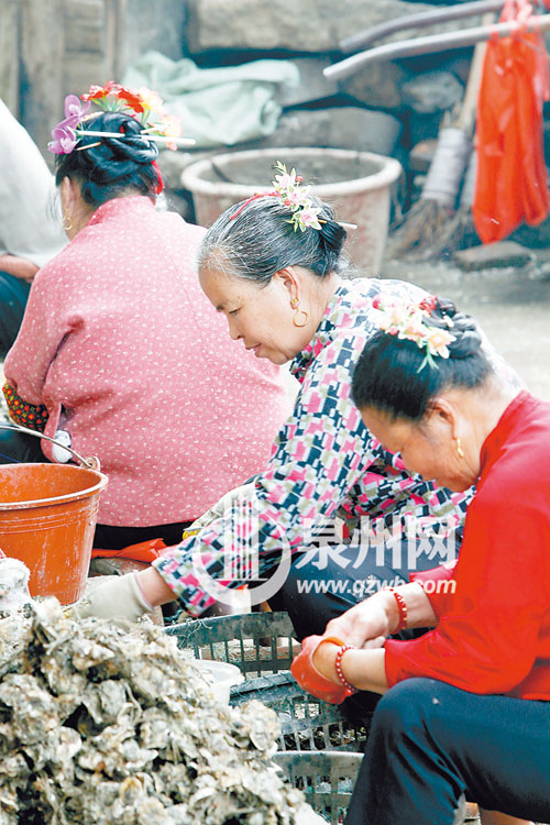 几名头戴美丽簪花头饰的老者在挖海蛎