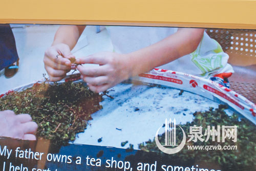 视频展示安溪铁观音制作过程