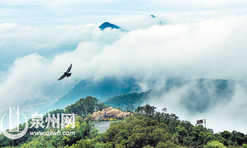 雨后清源山云雾缭绕 宛若仙境