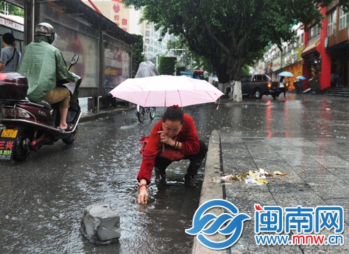 泉州市区泉秀街,阿婆撑伞俯身挨个清理井口的垃圾