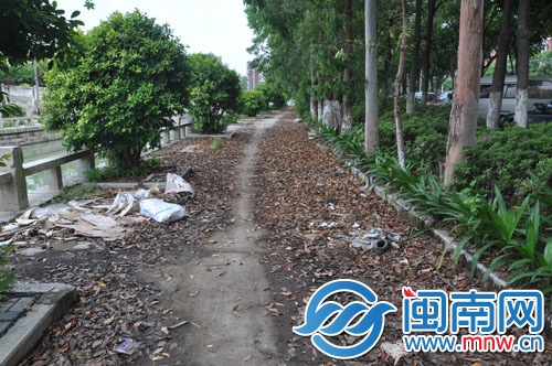 内沟河边通道上，堆满了枯枝落叶