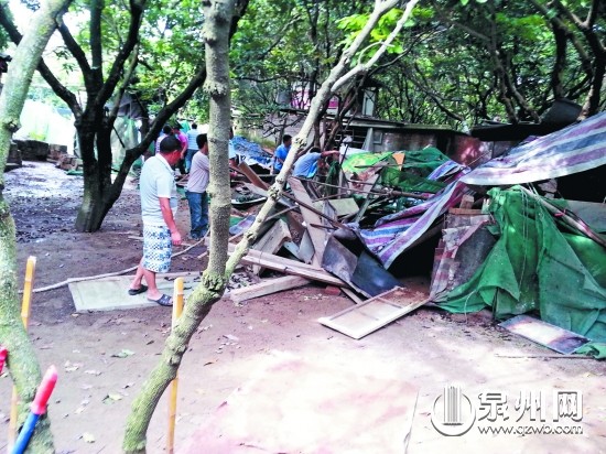 执法人员对圈龙眼地搭盖养鸡鸭的违建进行强制拆除