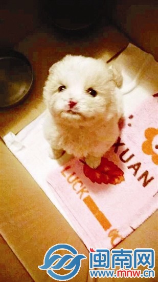 5月2日 “下周”在记者家中,精神不错