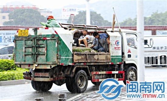 泉州市区坪山路，几名工人在货车车斗避雨不及
