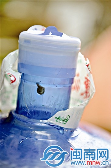 蜗牛贴在未被水淹没的桶壁上