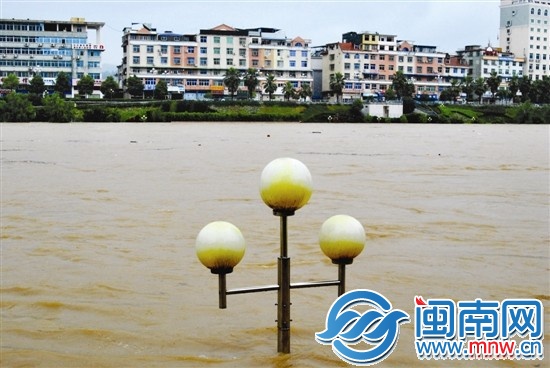 三明将乐县 连日暴雨，导致将乐县金溪河河水昨日暴