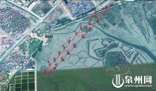 埭头到浔美区域将种180亩红树林