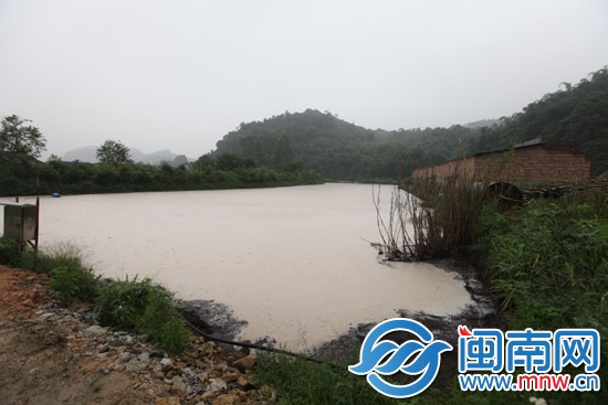 污水侵入永丰溪 死鱼一片