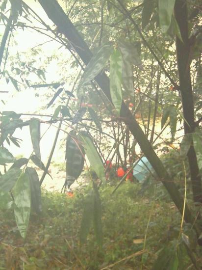 载有26名台湾旅客客车掉入九龙江
