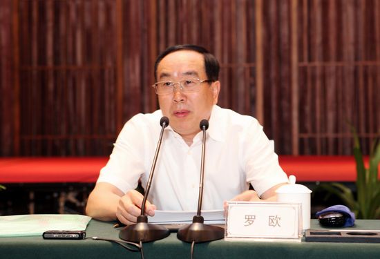 广东省政府副秘书长罗欧
