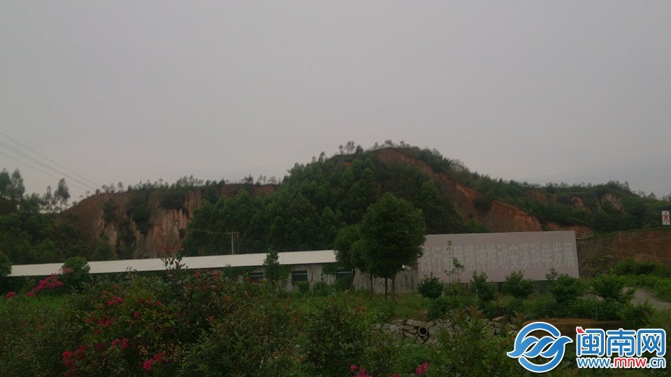 进行崩岗治理的山坡 副本