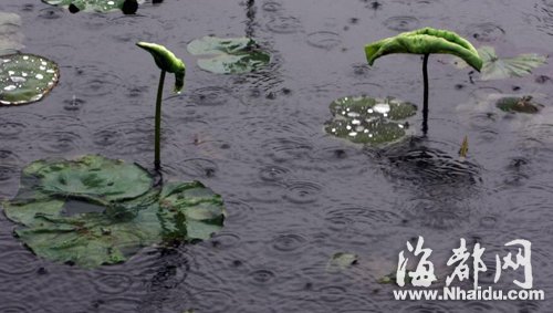 福建新一轮强降雨撞上端午节 小假期两天泡雨