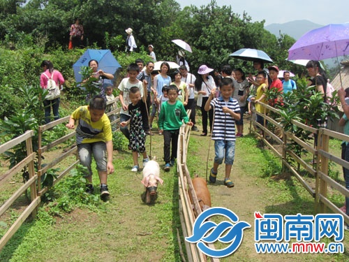 小朋友们在玩“小猪赛跑”游戏