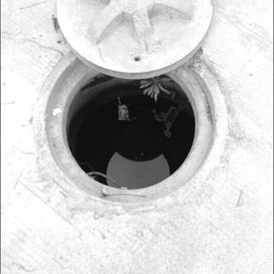 村民舀“井水”灌溉农田