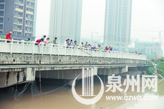 不少人拿着网兜和渔网在桥上捞鱼