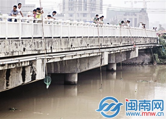 周边不少工友加入,捞鱼场面火热