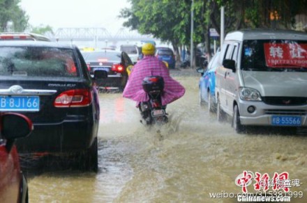 广西柳州59乡镇遭暴雨袭击