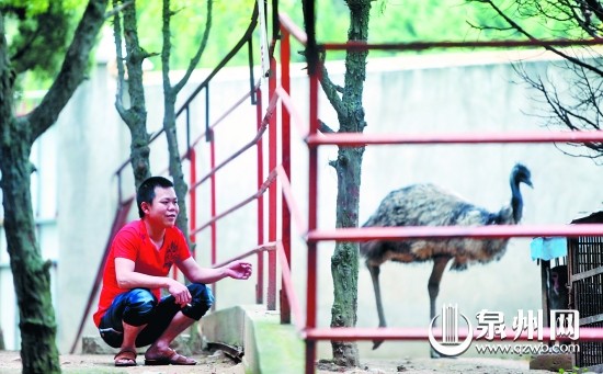 新建起的休闲场所分散了人流，晋江敏月动物园内游客