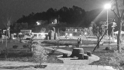 夜晚中的大眉村生态湿地公园。（大眉村村民苏海霞供