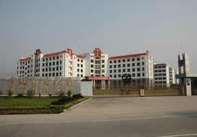 福建师范大学闽南科技学院历年高考录取分数线