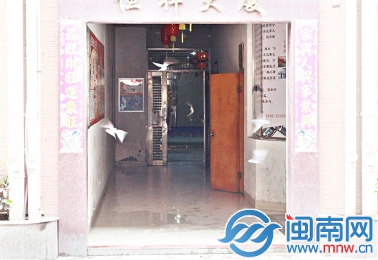 上午几十只燕子飞来捕食“纷飞”的白蚁，麻雀随后加