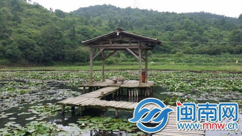 泉州洛江区的九品香水莲花生态农业园区