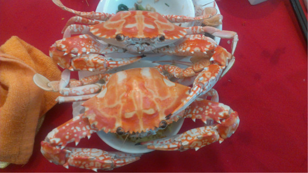 泉州到深圳自助旅游全攻略 深圳哪些地方好玩