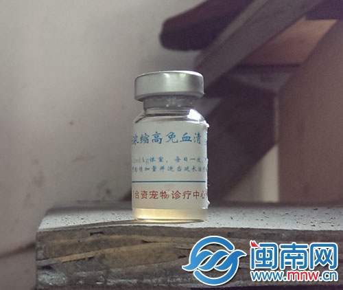 店铺内的楼梯上，摆着一瓶血清