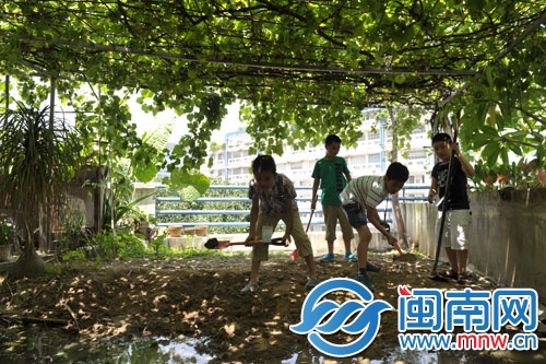 葡萄藤下，小记者们拿着铲子松土