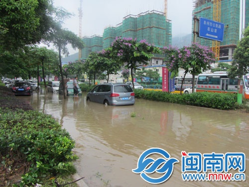 非机动车道积水漫过绿化带