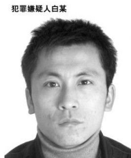 谭蓓蓓丈夫白云江照片