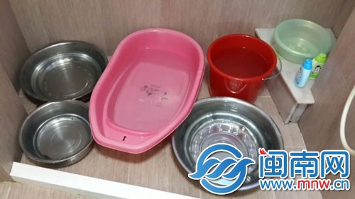 在王女士家的卫生间内,大大小小的盆子装满了水
