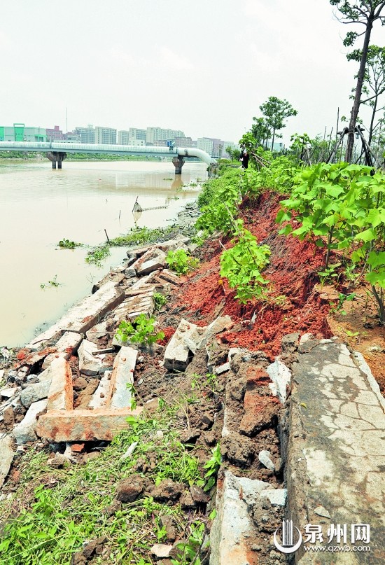连日暴雨使九十九溪堤岸垮塌