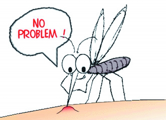 宝宝被蚊虫咬如何止痒 医生:防蚊虫叮咬物理方法最佳