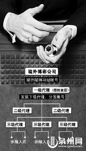 境外赌球博彩公司结构示意图