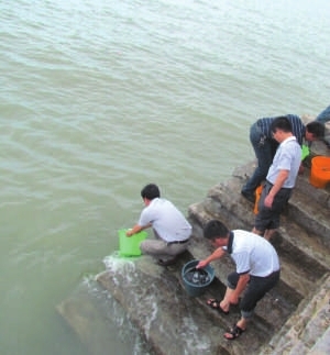 市农业与海洋局在围头湾石井海域开展鲈鱼增殖放流活动