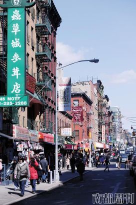几乎不懂英文的郑翠萍前往唐人街，随后迅速融入了当