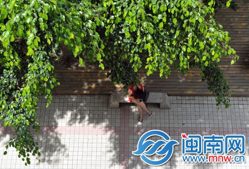 一位女子躲在树阴下玩手机