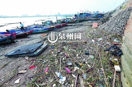 岸边堆满海蛎壳和生活垃圾，明显久未清理