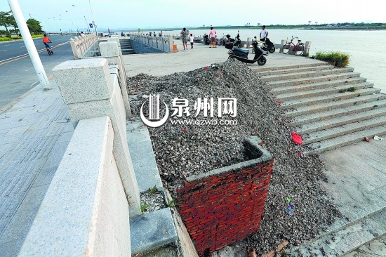 台阶上海蛎壳占去过半行走区域