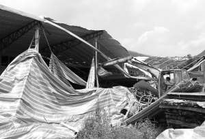 诗山一违建厂房被强拆