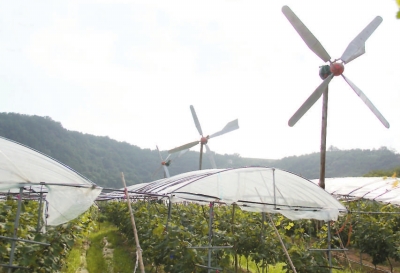 风能抽水灌溉系统