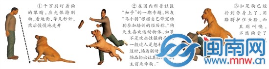 2岁女童 遭邻居拴养狗扑咬